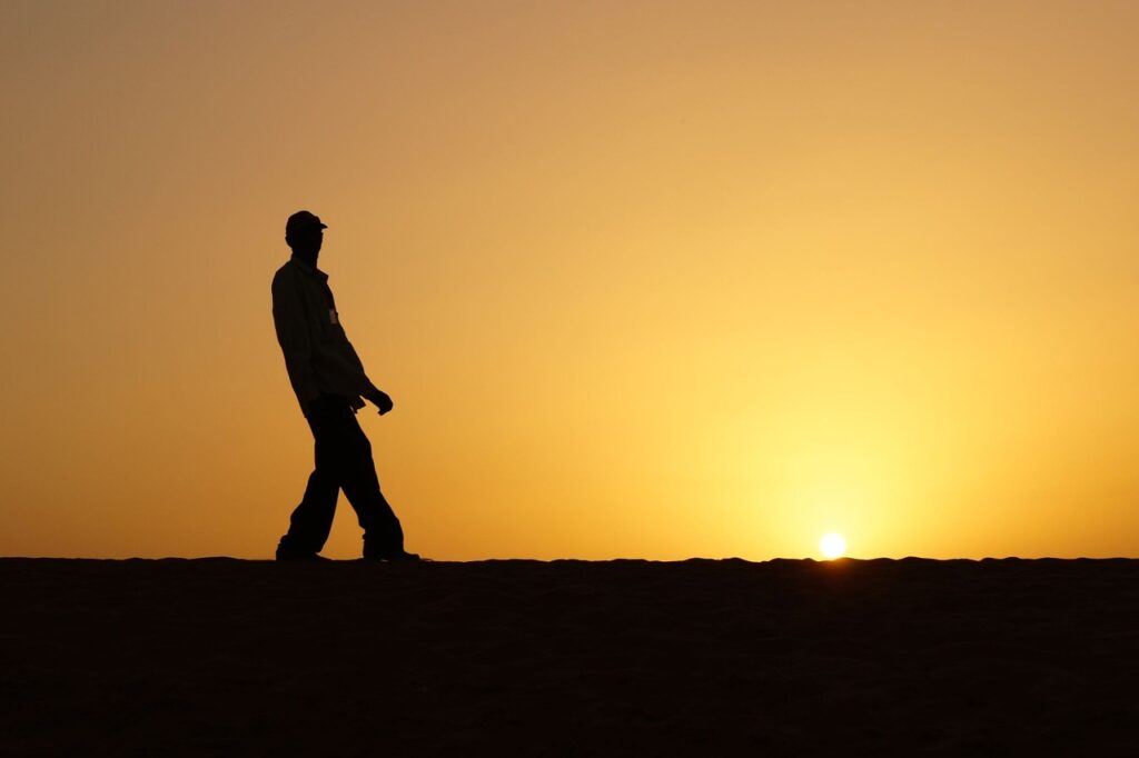 Backlight 1265499_1280